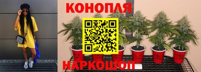 мяу мяу мука Новокубанск