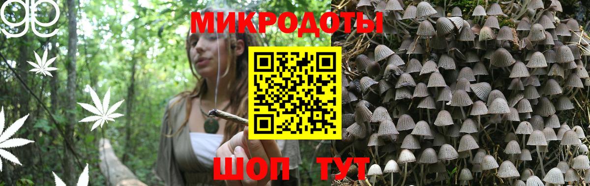 Галлюциногенные грибы MAGIC MUSHROOMS Троицк